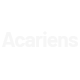 Acariens