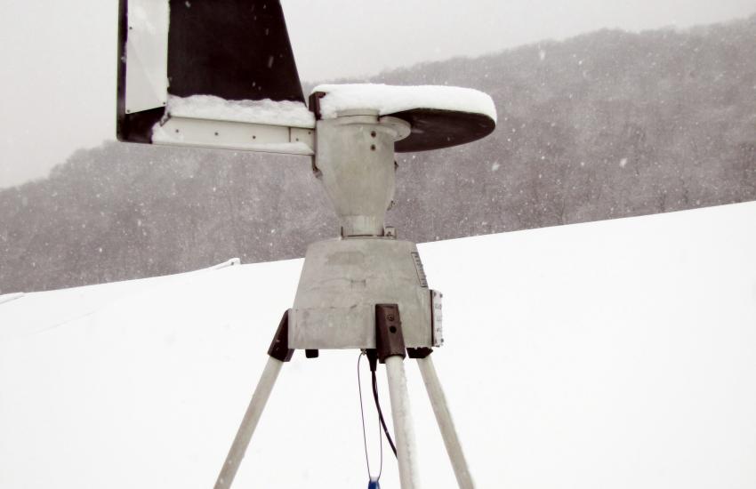 Capteur pollen sous la neige