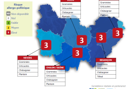 carte indice pollens