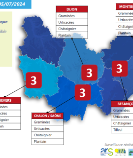 carte indice pollens