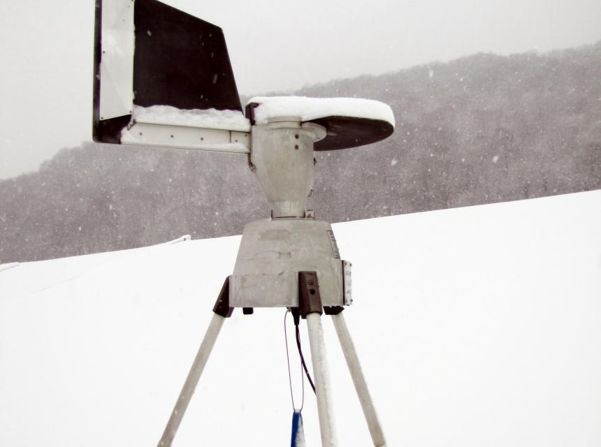 Capteur pollen sous la neige